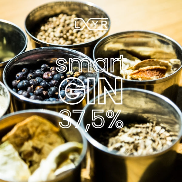 4* DRY GIN - Smart Selection 5L